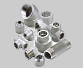 Hastelloy Forged Fittings